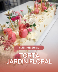 cLASE online (5)